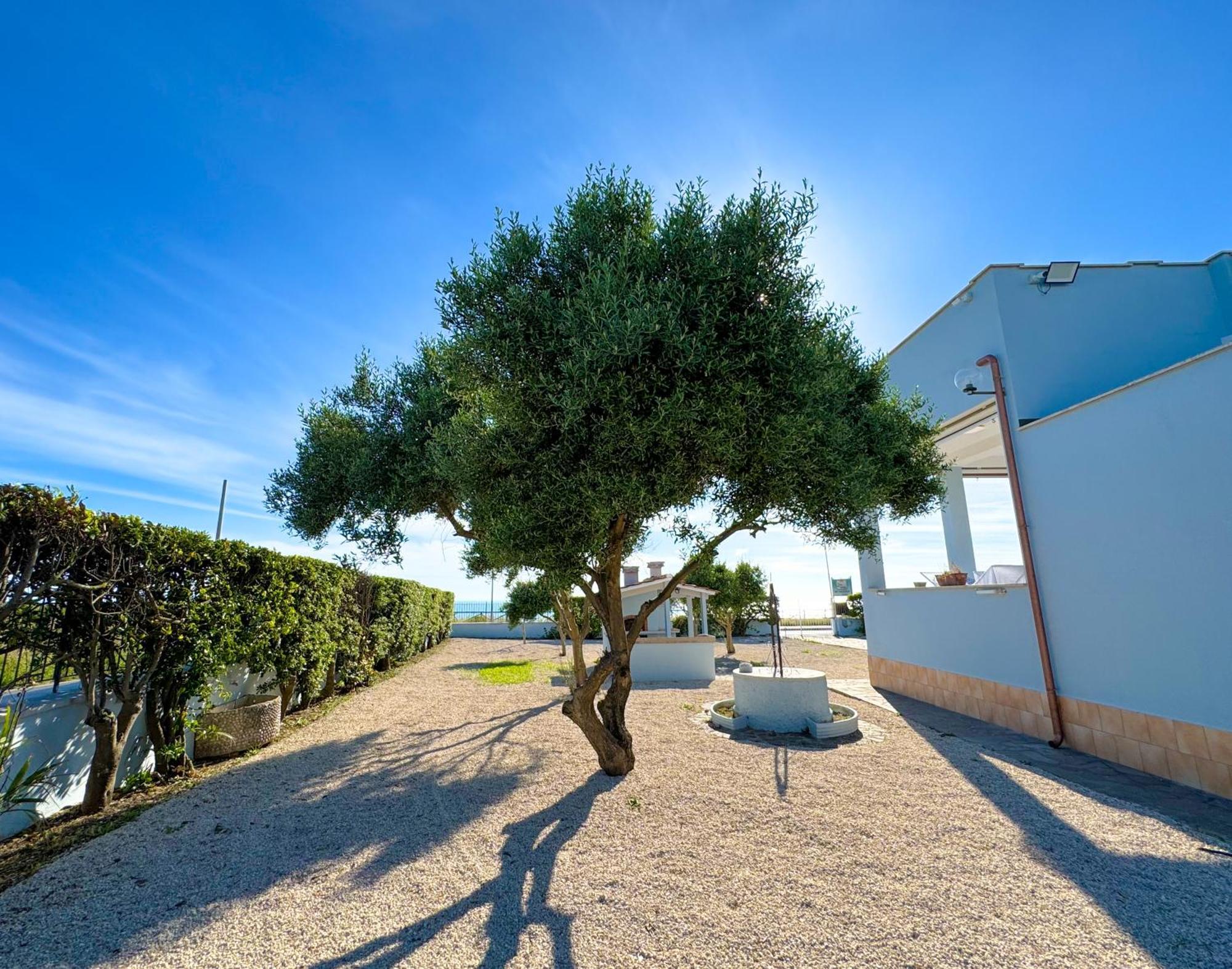 Edo House Anzio - Beachfront - Fronte Mare - Affittacamere Exterior foto